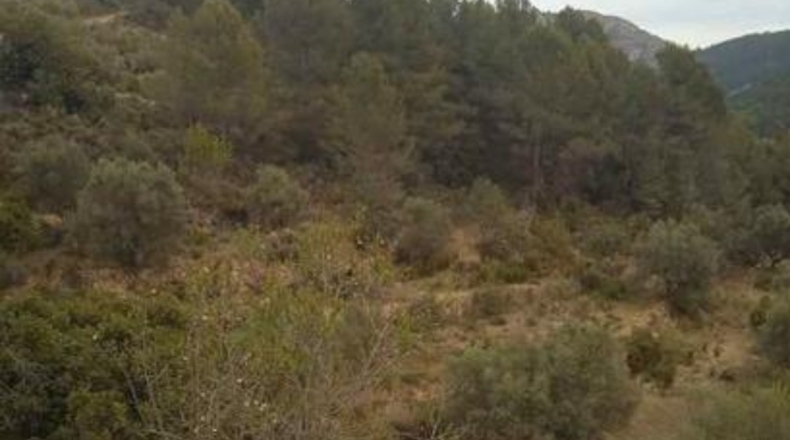 Castellón - Ludiente - 9939m2