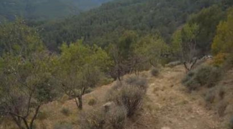 Castellón - Ludiente - 9939m2