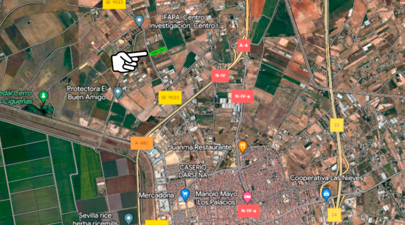 Sevilla - Los Palacios y Villafranca - 19623m2