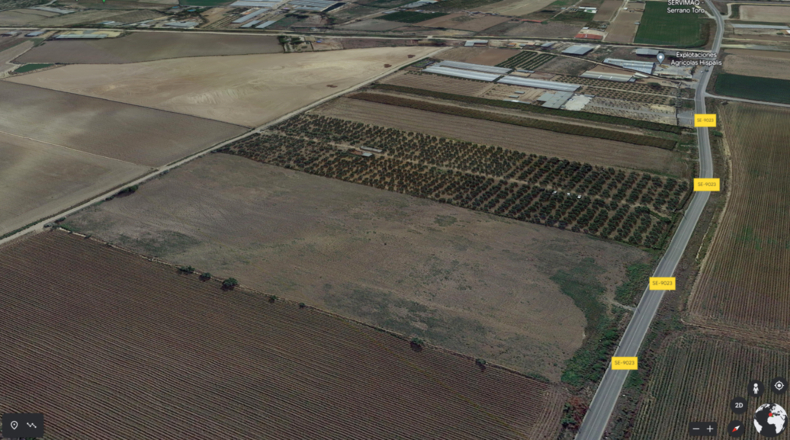 Sevilla - Los Palacios y Villafranca - 19623m2
