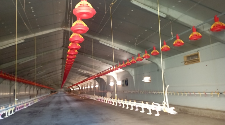 Zaragoza - Villanueva de Gállego - 9000m2