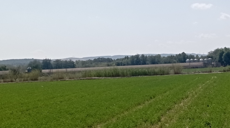 Zaragoza - Villanueva de Gállego - 9000m2