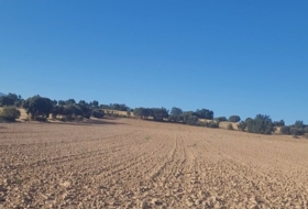 Castillejo de Mesleón 18000&nbsp;m² 