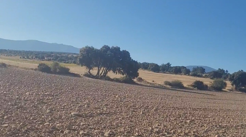 Segòvia - Castillejo de Mesleón - 18000m2