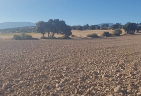 Castillejo de Mesleón 18000&nbsp;m² 