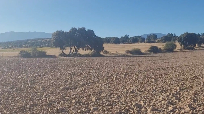 Segòvia - Castillejo de Mesleón - 18000m2