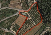 Finca rústica en venta en la camí de Alfauir a Ador, Alfauir, ref: TR89638 foto