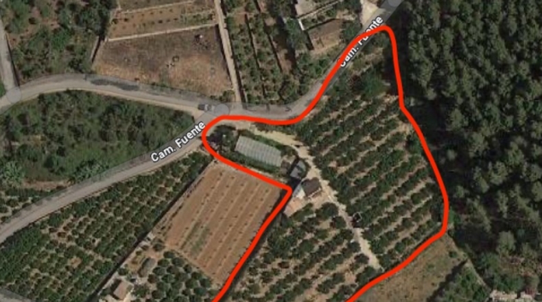 Valencia - Alfahuir - 8069m2