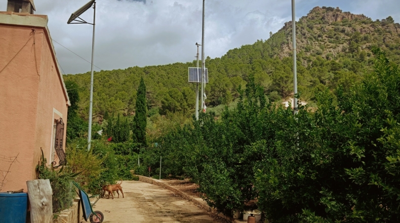 Valencia - Alfahuir - 8069m2