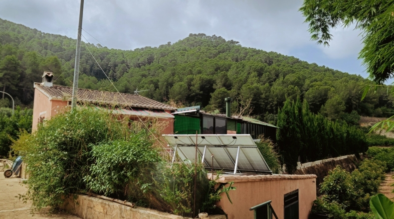 Valencia - Alfahuir - 8069m2