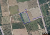 Terreno no urbanizable en venta en la PARTIDA TRAVESA, Sollana, ref: TR89649 foto