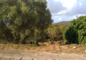 Parcel·la urbanitzable en venda a la Carrer Iuca, el Vendrell, ref.: TR89646 foto