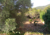 Parcel·la urbanitzable en venda a la Carrer Iuca, el Vendrell, ref.: TR89646 foto