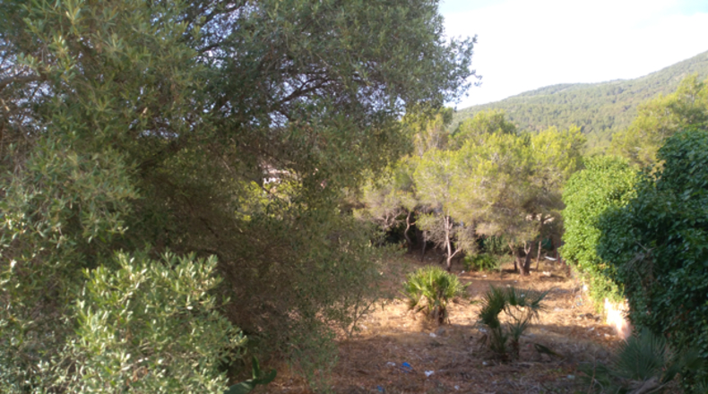 Tarragona - el Vendrell - 858m2