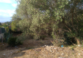 Parcel·la urbanitzable en venda a la Carrer Iuca, el Vendrell, ref.: TR89646 foto