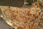 Parcel·la urbanitzable en venda a la Carrer Iuca, el Vendrell, ref.: TR89646 foto