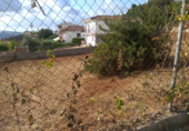 Parcel·la urbanitzable en venda a la Carrer de la Malva, el Vendrell, ref.: TR89645 foto