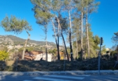 Parcel·la urbanitzable en venda a la Carrer del Bosc del Samsó, Olesa de Bonesvalls, ref.: TR89657 foto
