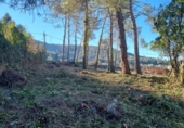 Parcel·la urbanitzable en venda a la Carrer del Bosc del Samsó, Olesa de Bonesvalls, ref.: TR89657 foto