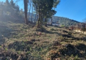 Parcel·la urbanitzable en venda a la Carrer del Bosc del Samsó, Olesa de Bonesvalls, ref.: TR89657 foto