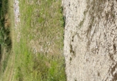 Non-developable land for sale on Zollo, Bilbao, ref: TR89655 photo