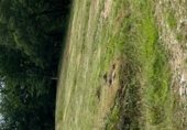 Non-developable land for sale on Zollo, Bilbao, ref: TR89655 photo