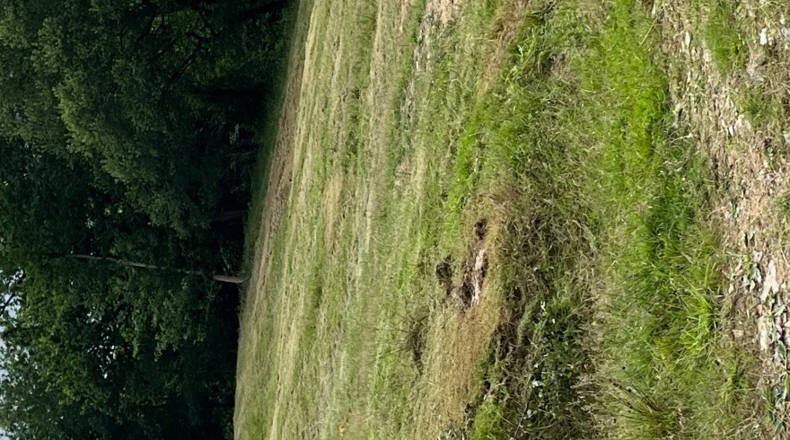 Vizcaya - Bilbao - 8000m2