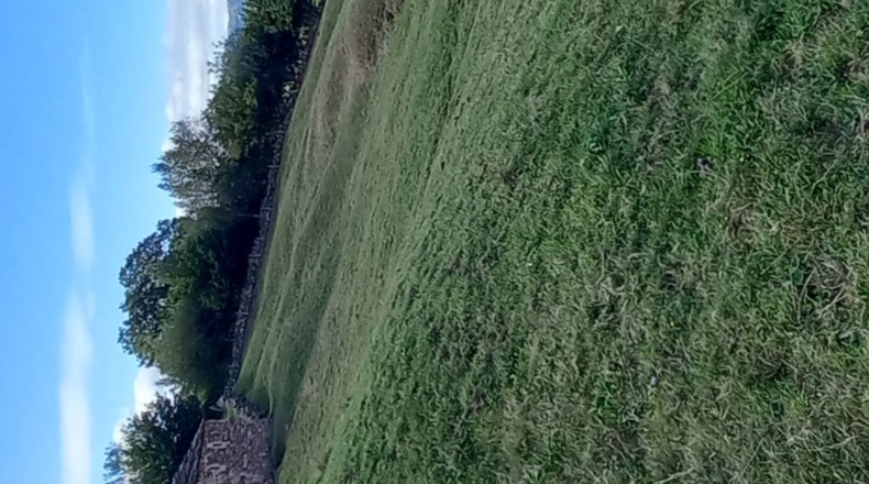 Cantabria - Viaña - 12000m2
