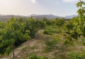 Земля, подлежащая урбанизации на продажу у города Vélez-Málaga Фото