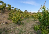 Земля, подлежащая урбанизации на продажу у города Vélez-Málaga Фото