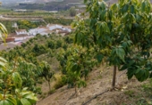 Земля, подлежащая урбанизации на продажу у города Vélez-Málaga Фото