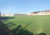 Parcel·la urbanitzable en venda a la Calle Camino de las Huertas, Villanueva del Rosario, ref.: TR73388 foto