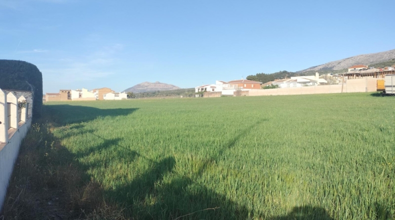 Málaga - Villanueva del Rosario - 12039m2