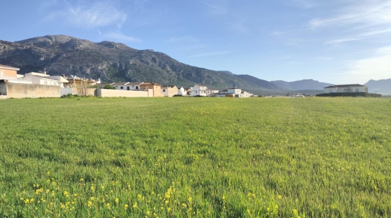 Málaga - Villanueva del Rosario - 12039m2
