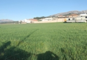Parcel·la urbanitzable en venda a la Calle Camino de las Huertas, Villanueva del Rosario, ref.: TR73388 foto