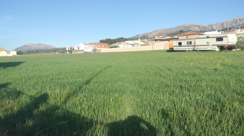 Málaga - Villanueva del Rosario - 12039m2