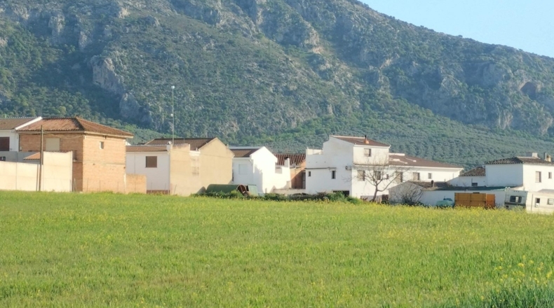 Málaga - Villanueva del Rosario - 12039m2