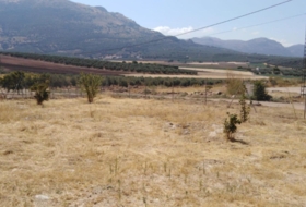 Archidona 1400&nbsp;m² 