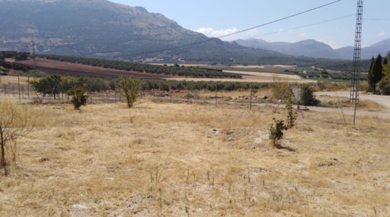 Málaga - Archidona - 1400m2