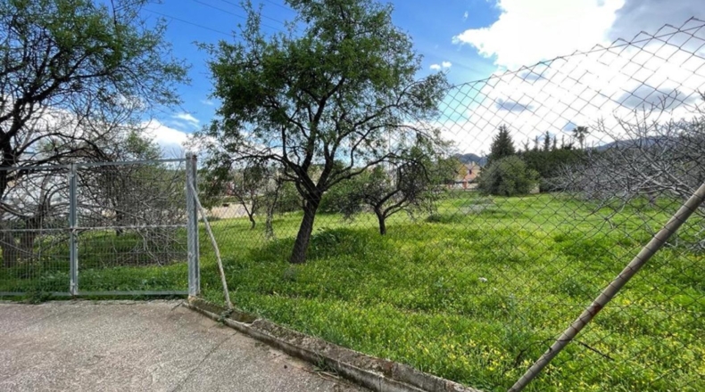 Málaga - Alhaurín de la Torre - 3004m2