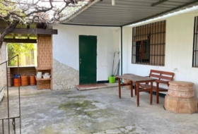 Foto 15