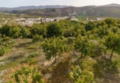 Земля на продажу у города Vélez-Málaga Фото