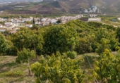 Земля на продажу у города Vélez-Málaga Фото