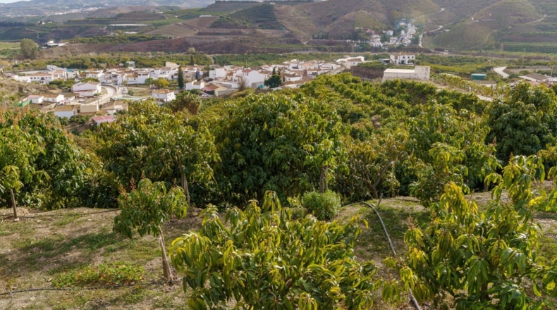 Málaga - Vélez-Málaga - 9110m2
