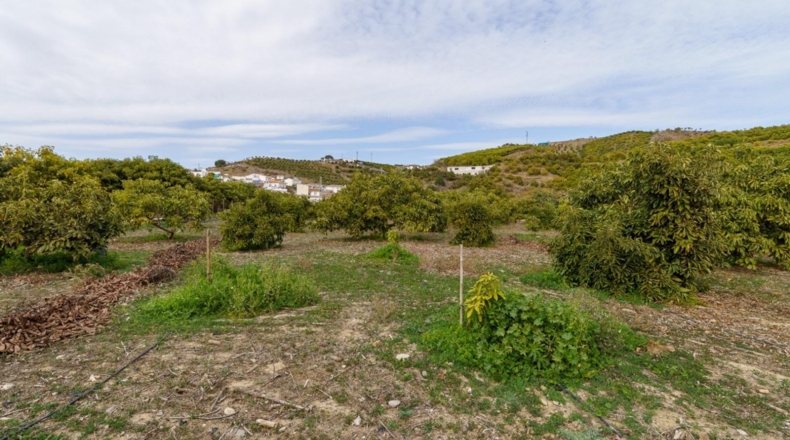 Málaga - Vélez-Málaga - 9110m2