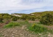 Terreno no urbanizable en venta en la Arroyo Moneda, Vélez-Málaga, ref: TR72629 foto