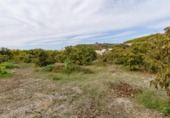 Terreno no urbanizable en venta en la Arroyo Moneda, Vélez-Málaga, ref: TR72629 foto