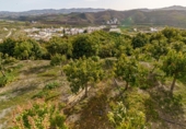 Terreno no urbanizable en venta en la Arroyo Moneda, Vélez-Málaga, ref: TR72629 foto