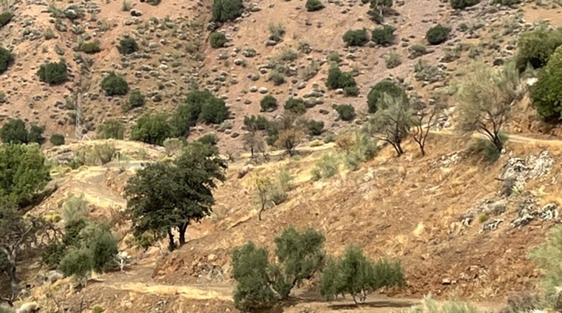 Málaga - Málaga - 42000m2