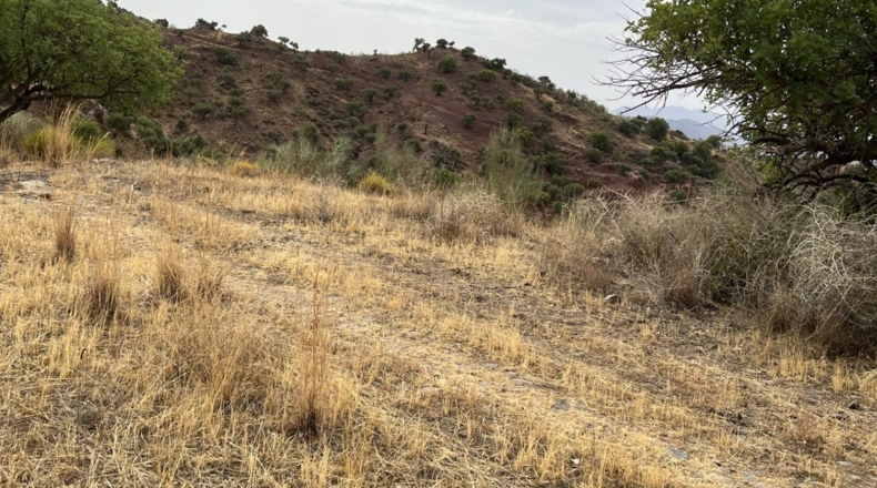 Málaga - Málaga - 42000m2
